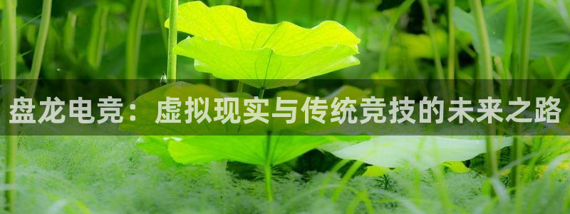南宫电竞：盘龙电竞：虚拟现实与传统竞技的未来之路