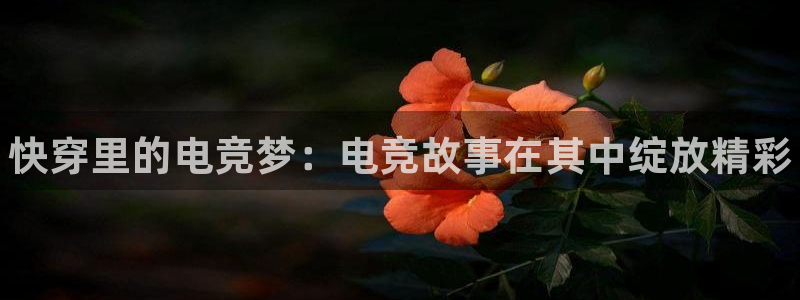 南宫电竞app：快穿里的电竞梦：电竞故事在其中绽放精彩