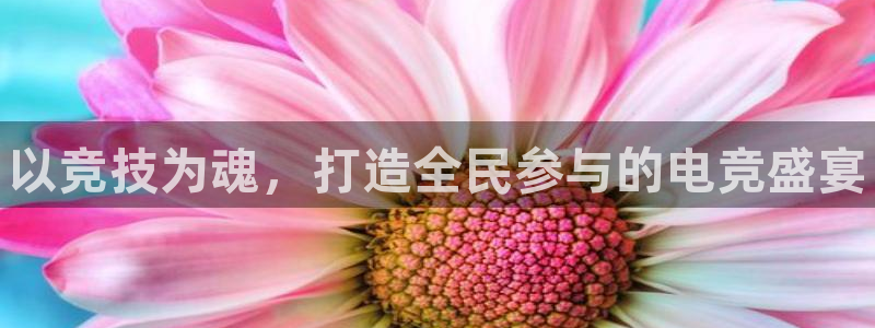 南宫电竞登陆：以竞技为魂，打造全民参与的电竞盛宴