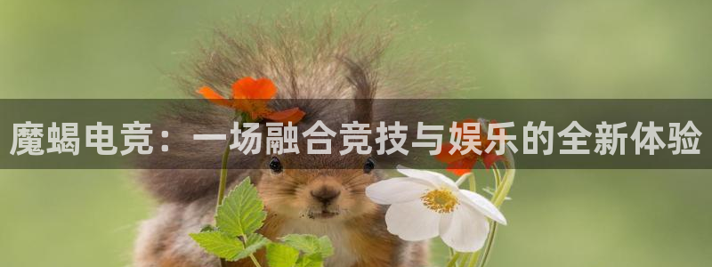 南宫电竞登陆：魔蝎电竞：一场融合竞技与娱乐的全新体验