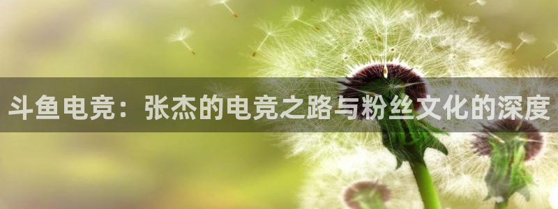 南宫电竞贴吧：斗鱼电竞：张杰的电竞之路与粉丝文化的深度