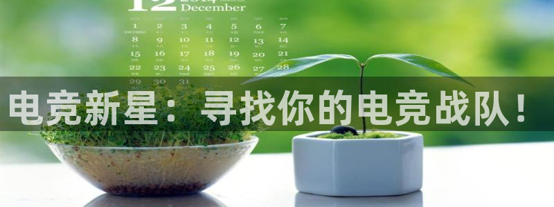南宫电竞登陆：电竞新星：寻找你的电竞战队！