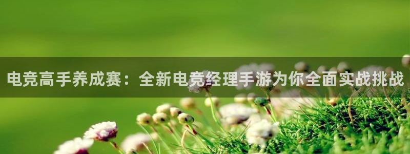 南宫电竞官网：电竞高手养成赛：全新电竞经理手游为你全面实战挑战