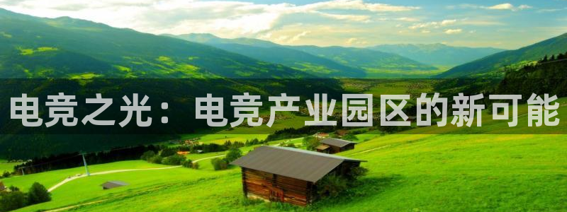 南宫电竞平台：电竞之光：电竞产业园区的新可能