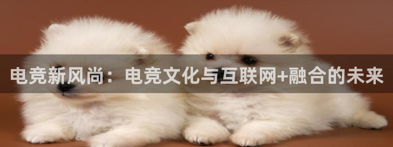 南宫电竞注册：电竞新风尚：电竞文化与互联网+融合的未来