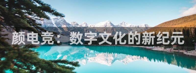 南宫电竞app：颜电竞：数字文化的新纪元