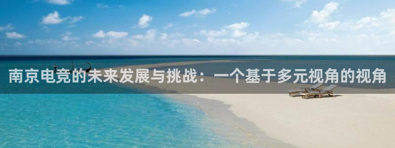 南宫电竞登陆：南京电竞的未来发展与挑战：一个基于多元视角的视角