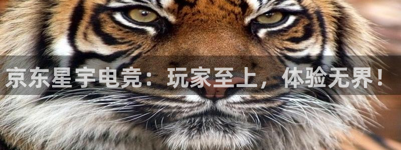 南宫电竞网：京东星宇电竞：玩家至上，体验无界！