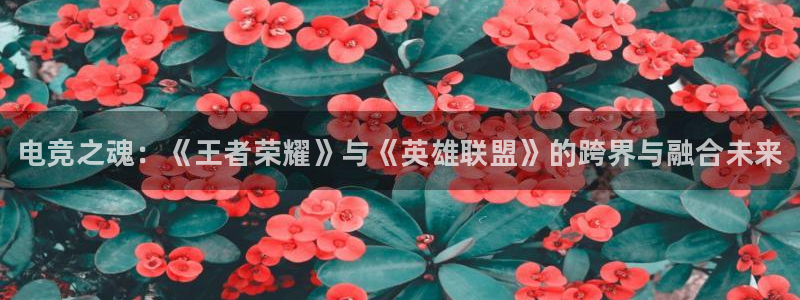 南宫电竞登陆：电竞之魂：《王者荣耀》与《英雄联盟》的跨界与融合未来