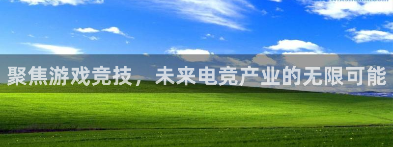 南宫电竞：聚焦游戏竞技，未来电竞产业的无限可能