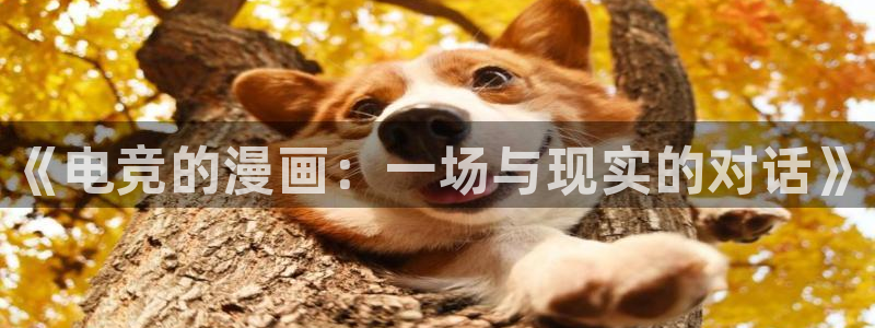 南宫电竞贴吧：《电竞的漫画：一场与现实的对话》