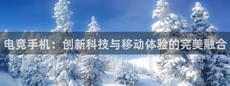 南宫电竞app：电竞手机：创新科技与移动体验的完美融合