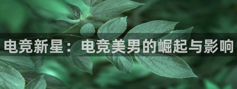 南宫电竞：电竞新星：电竞美男的崛起与影响