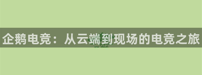 南宫电竞app：企鹅电竞：从云端到现场的电竞之旅