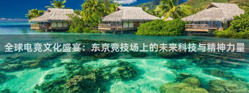 南宫电竞app：全球电竞文化盛宴：东京竞技场上的未来科技与精神力量