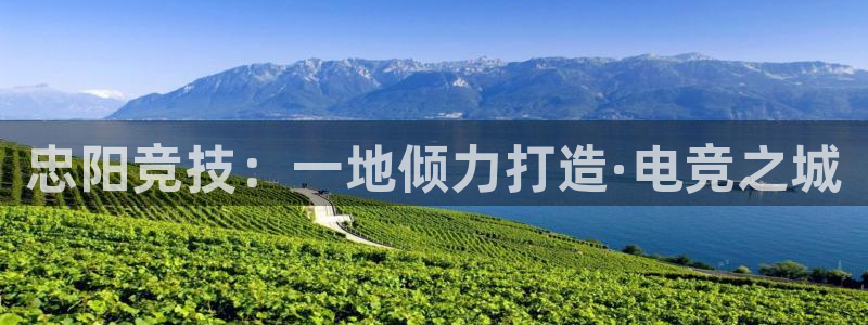 南宫电竞app：忠阳竞技：一地倾力打造·电竞之城