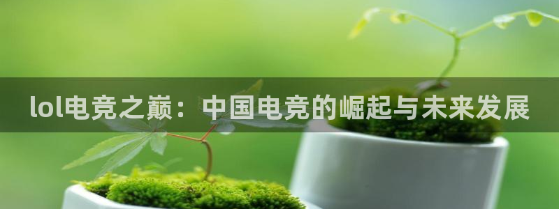 南宫电竞：lol电竞之巅：中国电竞的崛起与未来发展