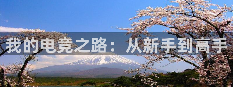 南宫电竞app