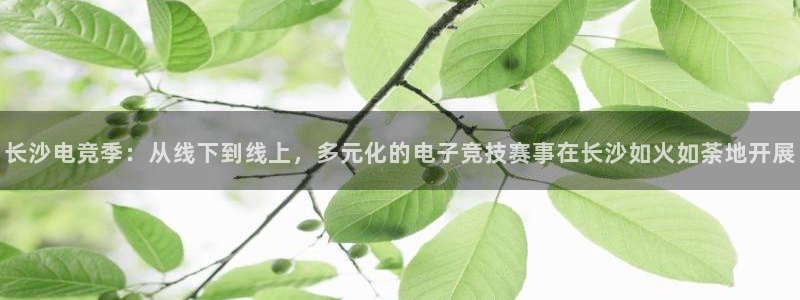 南宫电竞贴吧：长沙电竞季：从线下到线上，多元化的电子竞技赛事在长沙如火如荼地开展