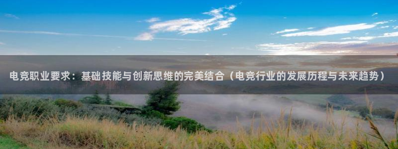 南宫电竞app：电竞职业要求：基础技能与创新思维的完美结合（电竞行业的发展历程与未来趋势）