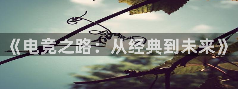 南宫电竞贴吧：《电竞之路：从经典到未来》