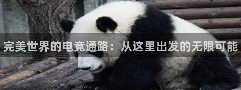 南宫电竞登陆：完美世界的电竞通路：从这里出发的无限可能