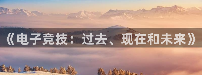 南宫电竞登陆：《电子竞技：过去、现在和未来》