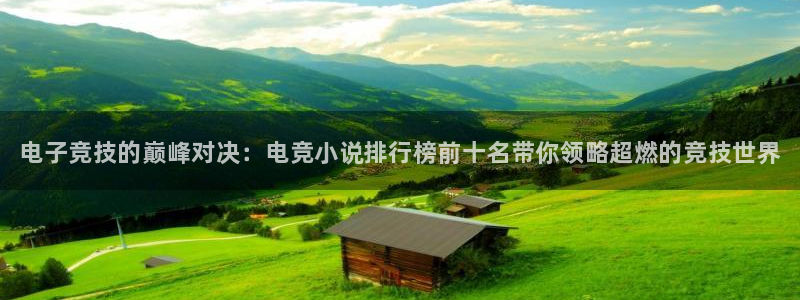 南宫电竞贴吧：电子竞技的巅峰对决：电竞小说排行榜前十名带你领略超燃的竞技世界