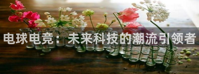 南宫电竞平台