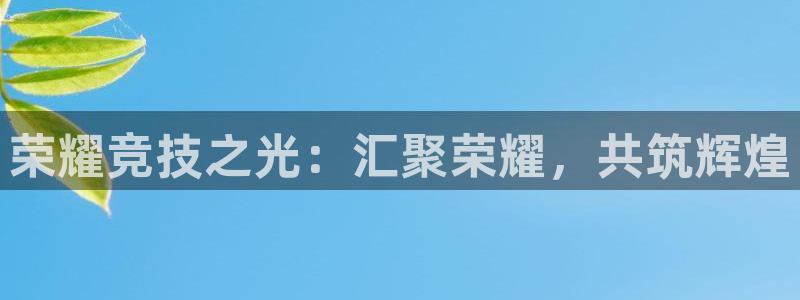 南宫电竞网