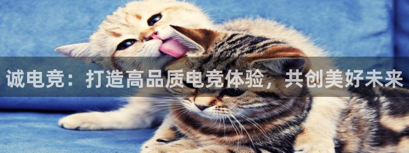 南宫电竞平台